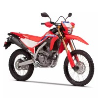 Honda 300 CRF L 2024