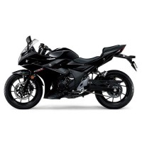 Suzuki 250 GSX R 2017