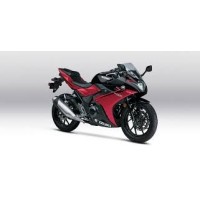 Suzuki 250 GSX R 2024