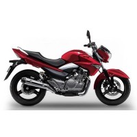 Suzuki 250 GW INAZUMA 2015