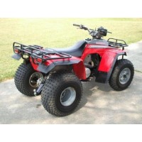 Honda 250 TRX 1987