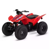 Honda 90 TRX 2024