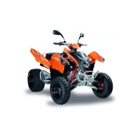 ADLY 300 cc