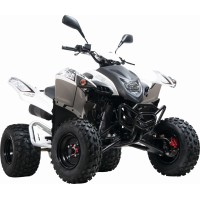 ADLY 400 cc