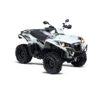 ADLY 600 cc