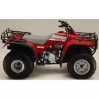 Honda 300 TRX Fourtrax 1989