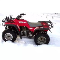 Honda 300 TRX Fourtrax 1993
