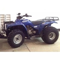 Honda 300 TRX Fourtrax 1994