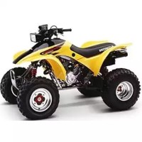Honda 300 TRX Fourtrax 2002