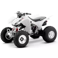 Honda 300 TRX Fourtrax 2009
