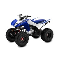 Honda 250 TRX 2025