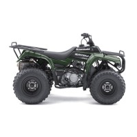 Kawasaki 250 KLF Bayou 2010