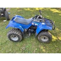 Kawasaki 220 KLF Bayou 1993