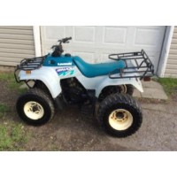 Kawasaki 220 KLF Bayou 1994