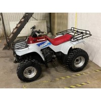 Kawasaki 220 KLF Bayou 1995