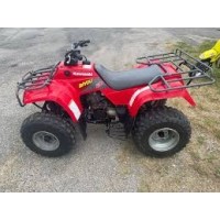 Kawasaki 220 KLF Bayou 2001