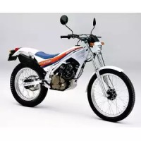 Honda 250 TLR 1985