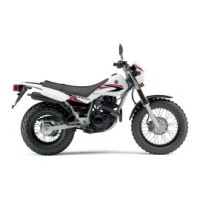 Yamaha 200 TW 2010