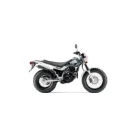 Yamaha 200 TW 2015
