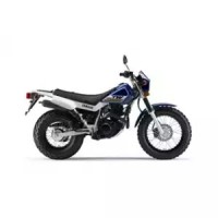 Yamaha 200 TW 2017