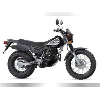 Yamaha 200 TW 2019