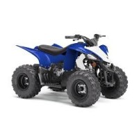 Yamaha 50 YFZ 2019