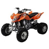 Arctic Cat 400 DVX 2005