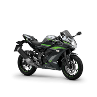 Kawasaki 125 Ninja 2024