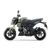 Kawasaki 125 Z Pro 2017