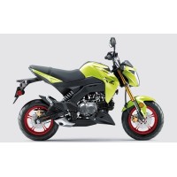 Kawasaki 125 Z Pro 2019