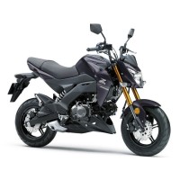 Kawasaki 125 Z Pro 2020