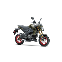 Kawasaki 125 Z Pro 2022