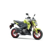 Kawasaki 125 Z Pro 2026
