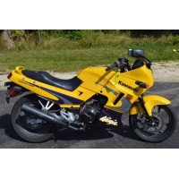 Kawasaki 250 EX Ninja 2003