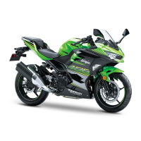 Kawasaki 400 EX Ninja 2019