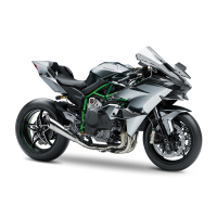 Kawasaki H2 2021