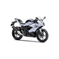 Kawasaki 250 Z SL 2016