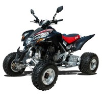 QUADZILLA 450 cc
