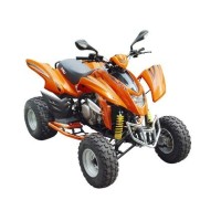 DINLI 450 cc