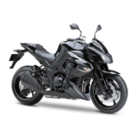 Kawasaki 1000 Z 2012