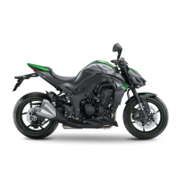 Kawasaki 1000 Z 2016
