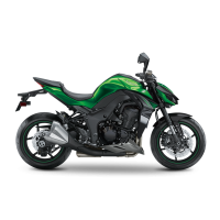 Kawasaki 1000 Z 2018