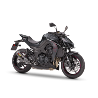 Kawasaki 1000 Z 2019
