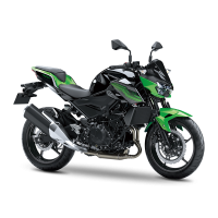 Kawasaki 400 Z 2019
