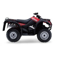 Suzuki 250 LT F OZARD 2002