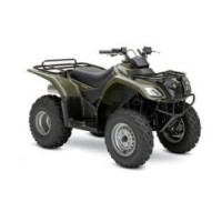 Suzuki 250 LT F OZARD 2007