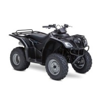 Suzuki 250 LT F OZARD 2012