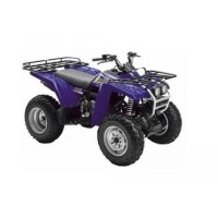Yamaha 350 YFM Wolverine 2004