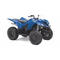 Yamaha 350 YFM Wolverine 2008