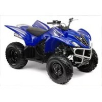 Yamaha 350 YFM Wolverine 2009